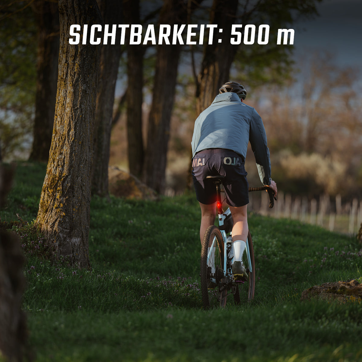 Sigma HIRO 30 Rücklicht
