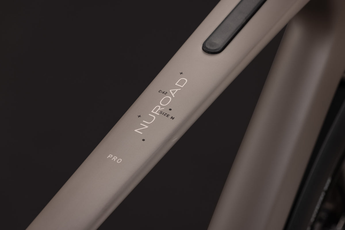 Cube Nuroad C:62 Pro FE cedar´n´stone (2027)