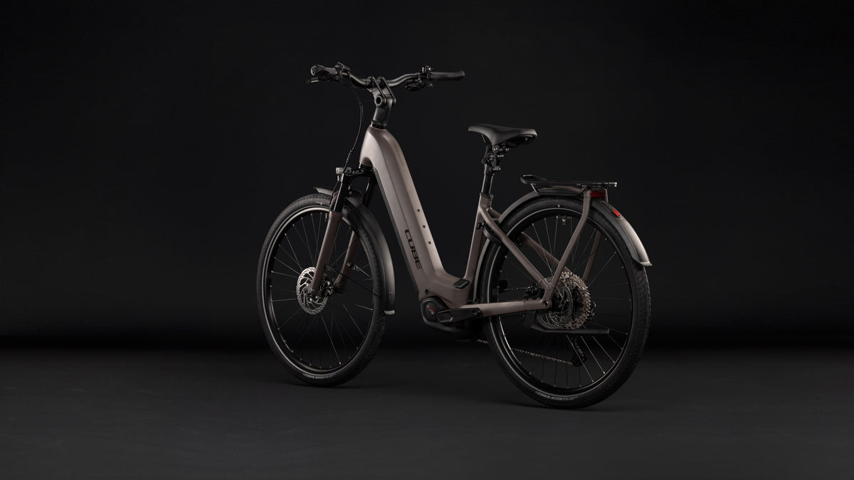 Cube Kathmandu Hybrid ONE 800 Easy Entry cedar´n´chrome (2027)