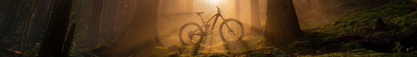 survivalstraps.mom Magazin - Headergrafik