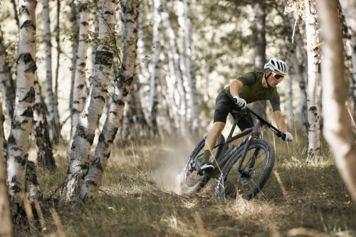 MTB Hardtails - Kategorie-Header