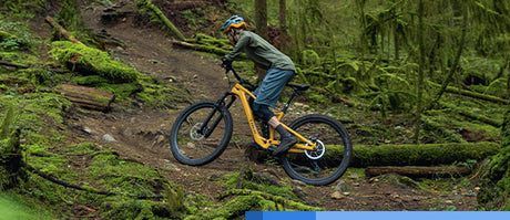 E-Bike Typen Berater