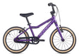 ACADEMY Grade 3 16" Purple (2027)