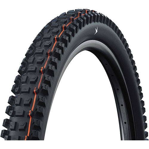 Schwalbe ALBERT GRAVITY PRO SOFT Radial E-50 29" Tubeless Ready schwarz