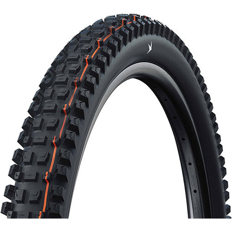Schwalbe ALBERT GRAVITY PRO SOFT Radial E-50 29" Tubeless Ready schwarz