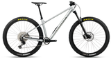 Orbea LAUFEY H30 Smooth Silver (Matt) - Titanium (Gloss) (2027)