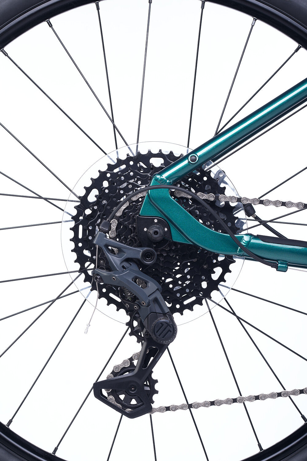 B-Ware: ACCADEMY S-grade Gravel 5 24" Forest (2027)