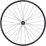 Shimano WH-RS171 Vorderrad 29" Centerlock 12x100mm schwarz