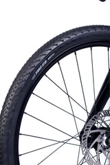 B-Ware: ACCADEMY S-grade Gravel 5 24" Forest (2027)