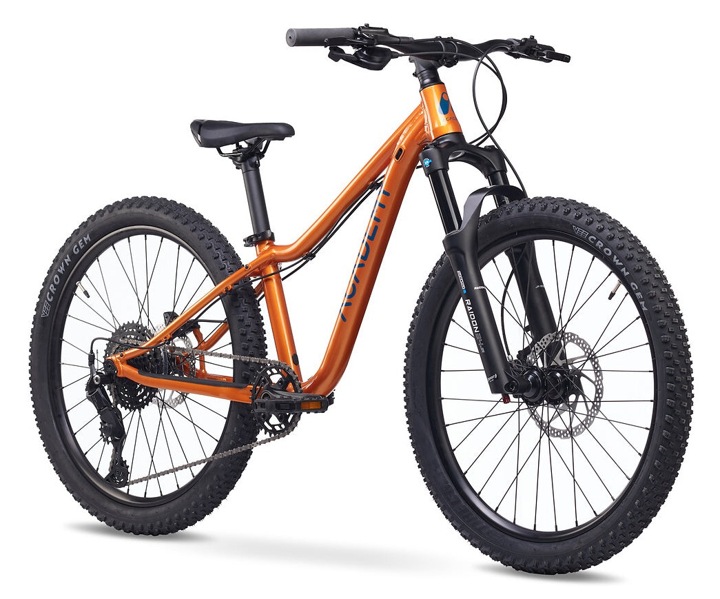 ACADEMY Trail 5 24" Amber (2027)